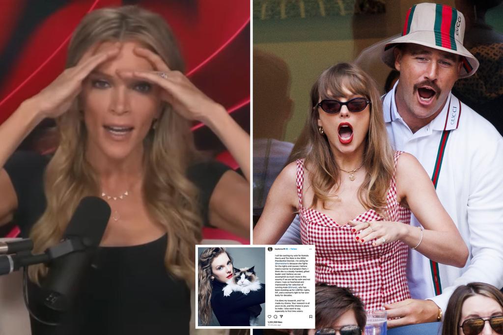 'Eff you, Taylor Swift': Megyn Kelly slams singer for backing Kamala Harris, calls her and Travis Kelce 'elitist snobs'